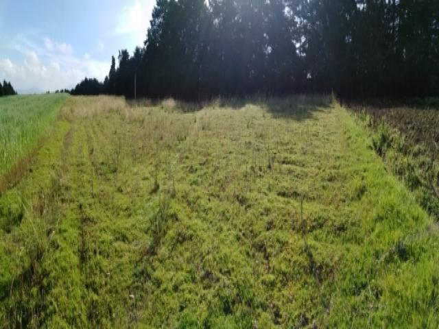 #T102018001 - Quinta para Venta en Zinacantepec - MC