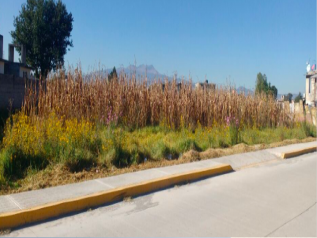 Venta en San Pedro Totoltepec - Toluca