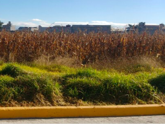 #GSCTT18018 - Terreno para Venta en Toluca - MC - 3