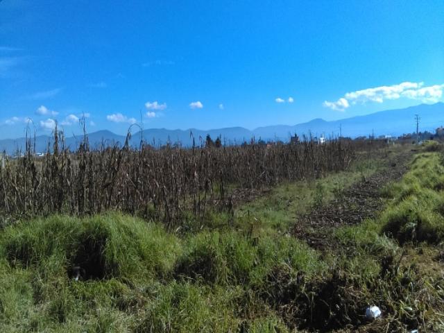 Terreno para Venta en Metepec - 4