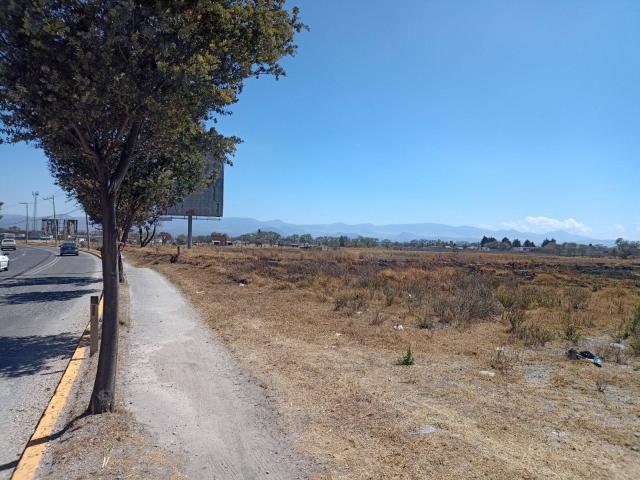 Terreno para Renta en Metepec - 5