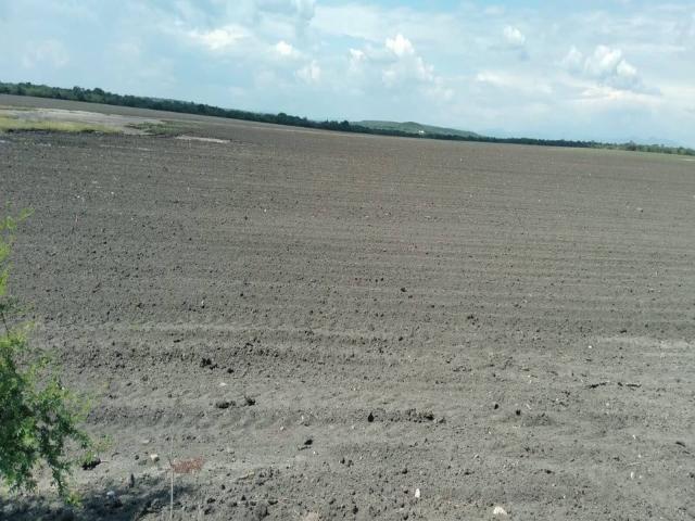 #GSCTT52349 - Terreno para Venta en González - TS