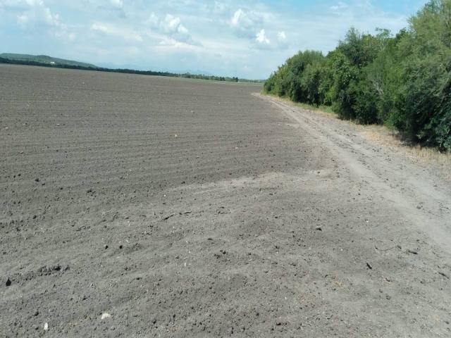 #GSCTT52349 - Terreno para Venta en González - TS