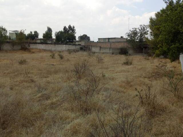 #GSCTT12462 - Terreno para Venta en Almoloya del Río - MC - 1