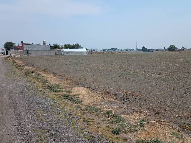 Venta en Alvaro Obregón - Metepec