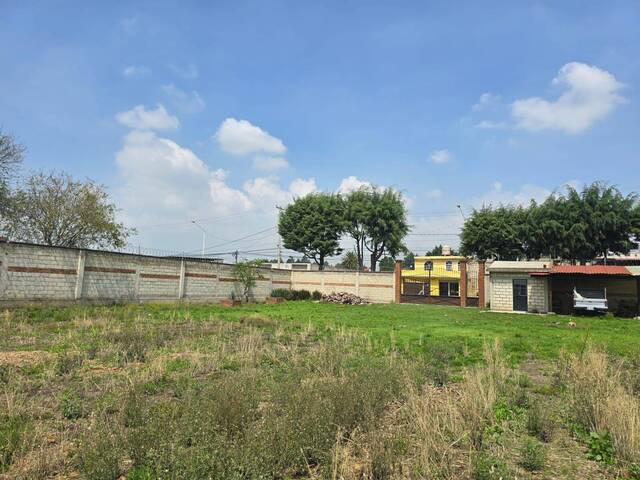 Área para Venta en Metepec - 4