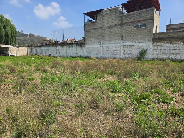 Área para Venta en Metepec - 5